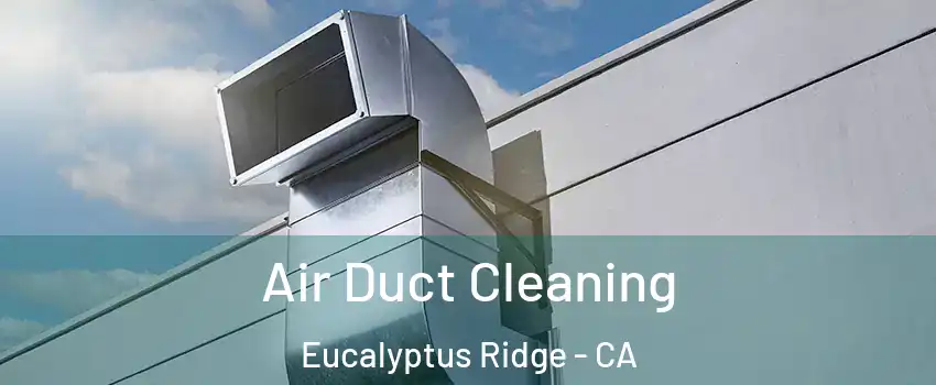 Air Duct Cleaning Eucalyptus Ridge - CA