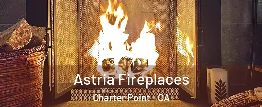 Astria Fireplaces Charter Point - CA
