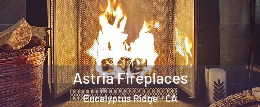 Astria Fireplaces Eucalyptus Ridge - CA
