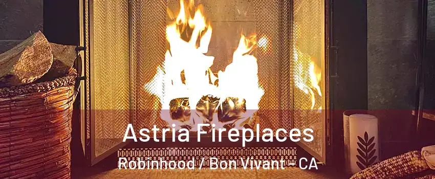Astria Fireplaces Robinhood / Bon Vivant - CA