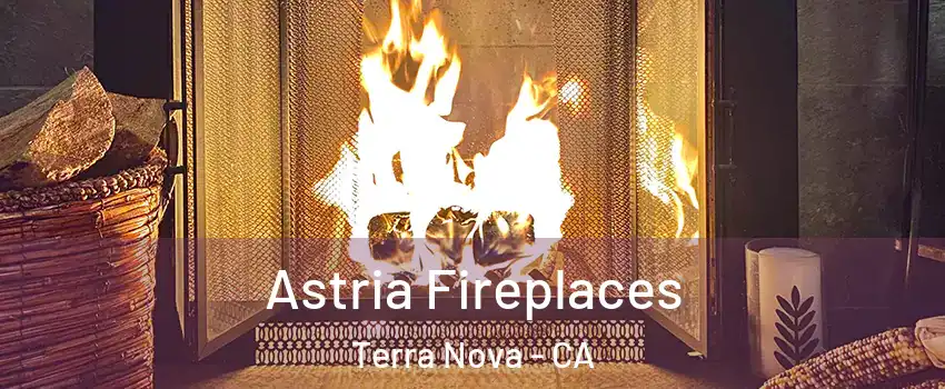 Astria Fireplaces Terra Nova - CA