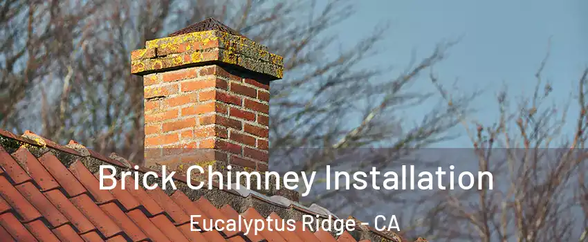 Brick Chimney Installation Eucalyptus Ridge - CA