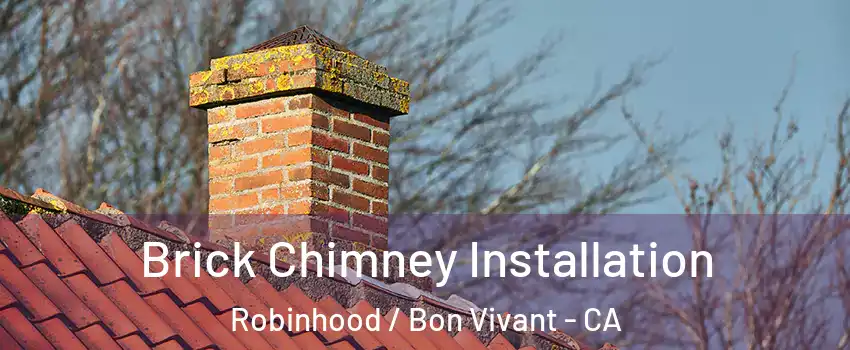 Brick Chimney Installation Robinhood / Bon Vivant - CA
