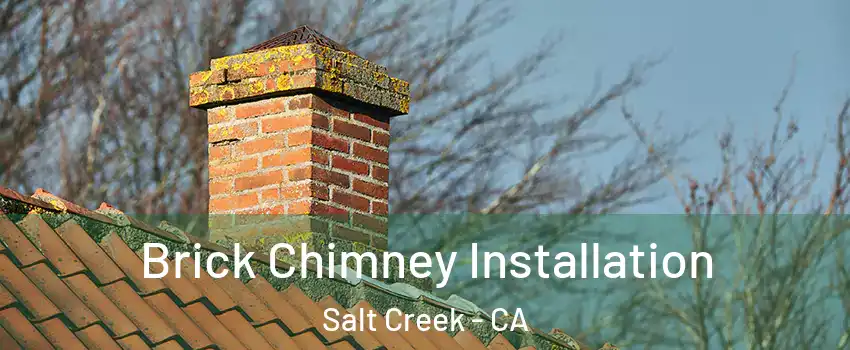 Brick Chimney Installation Salt Creek - CA