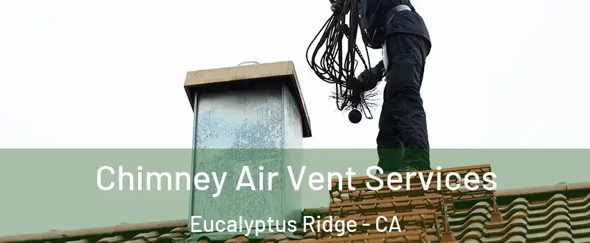 Chimney Air Vent Services Eucalyptus Ridge - CA