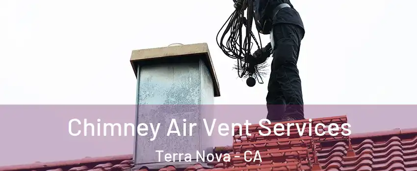 Chimney Air Vent Services Terra Nova - CA