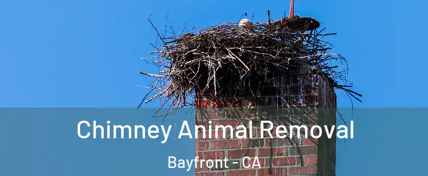 Chimney Animal Removal Bayfront - CA