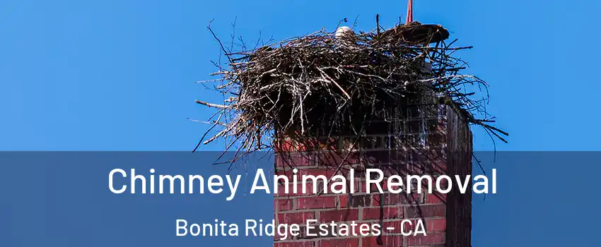 Chimney Animal Removal Bonita Ridge Estates - CA