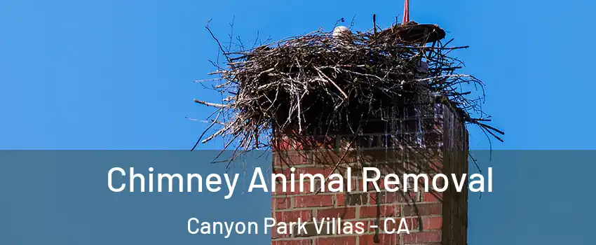 Chimney Animal Removal Canyon Park Villas - CA