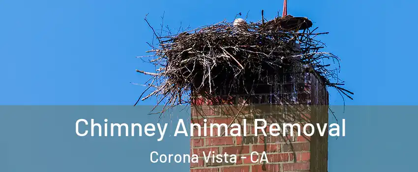 Chimney Animal Removal Corona Vista - CA