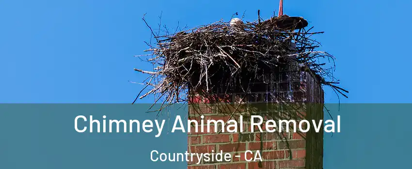 Chimney Animal Removal Countryside - CA