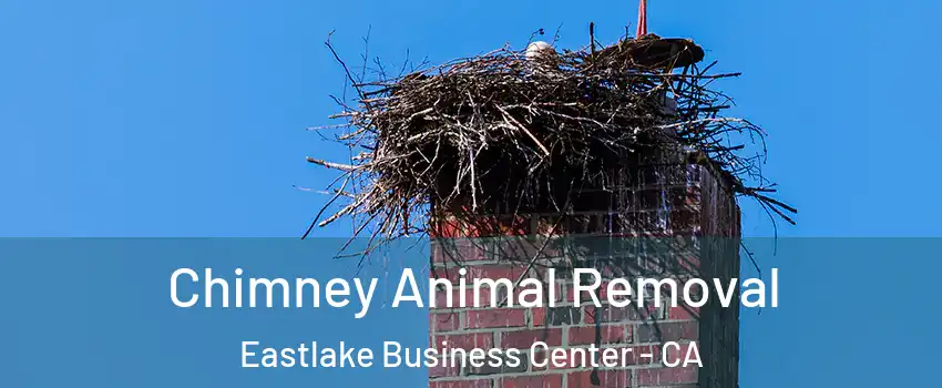 Chimney Animal Removal Eastlake Business Center - CA