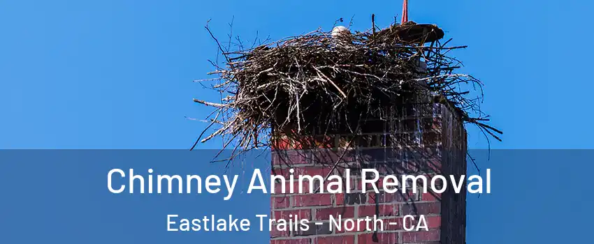 Chimney Animal Removal Eastlake Trails - North - CA