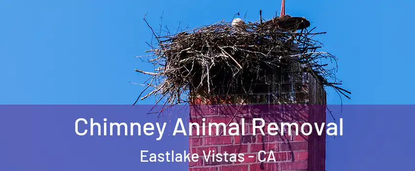 Chimney Animal Removal Eastlake Vistas - CA
