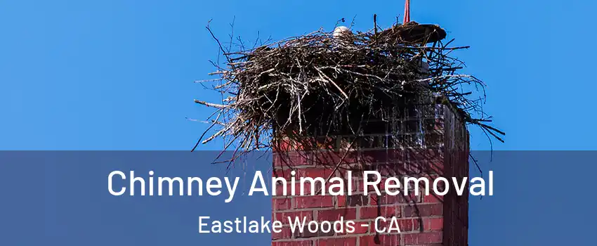 Chimney Animal Removal Eastlake Woods - CA