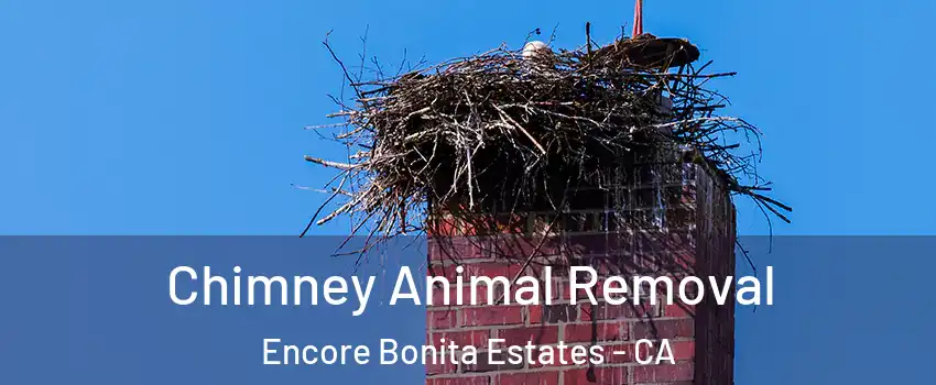 Chimney Animal Removal Encore Bonita Estates - CA