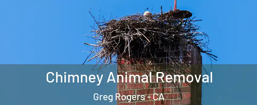 Chimney Animal Removal Greg Rogers - CA