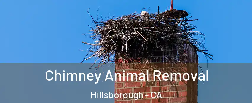 Chimney Animal Removal Hillsborough - CA