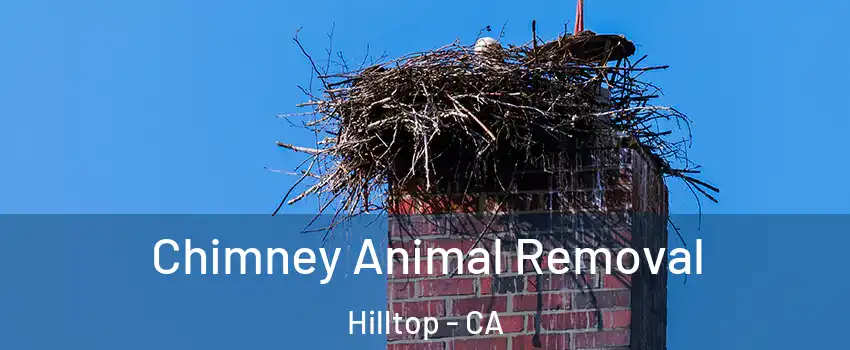 Chimney Animal Removal Hilltop - CA