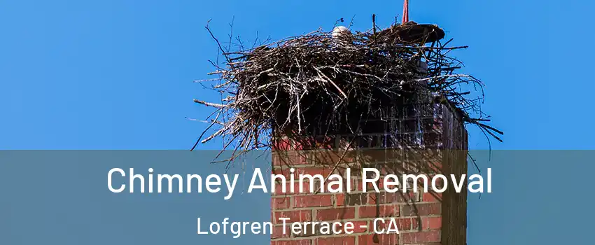 Chimney Animal Removal Lofgren Terrace - CA