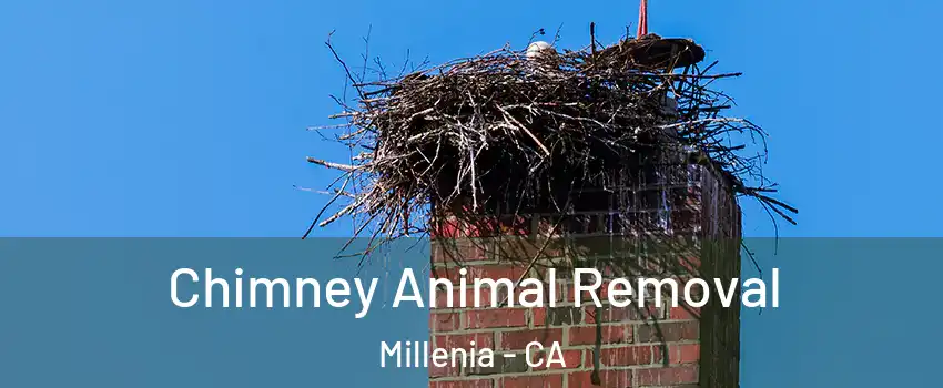 Chimney Animal Removal Millenia - CA