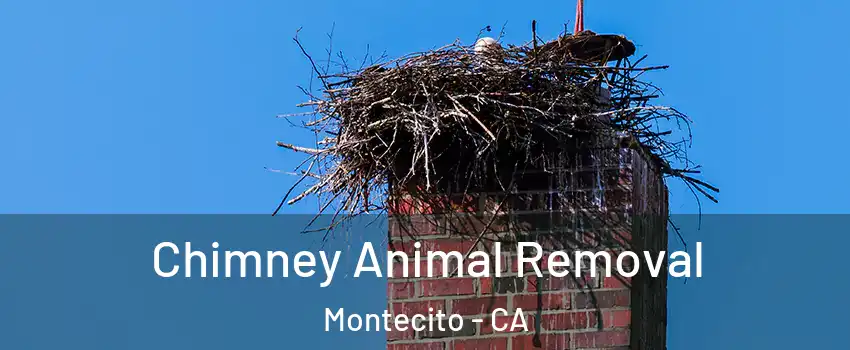 Chimney Animal Removal Montecito - CA