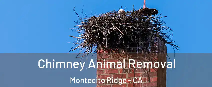 Chimney Animal Removal Montecito Ridge - CA