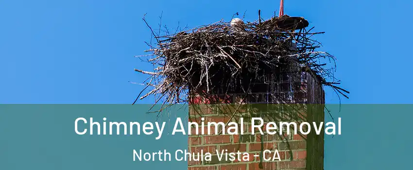 Chimney Animal Removal North Chula Vista - CA