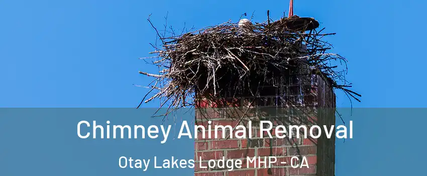 Chimney Animal Removal Otay Lakes Lodge MHP - CA
