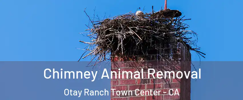 Chimney Animal Removal Otay Ranch Town Center - CA