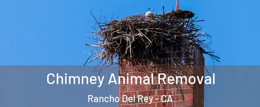 Chimney Animal Removal Rancho Del Rey - CA