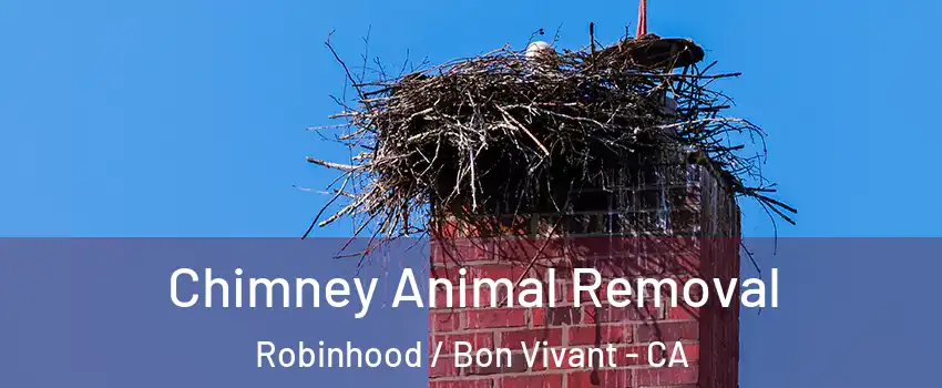 Chimney Animal Removal Robinhood / Bon Vivant - CA