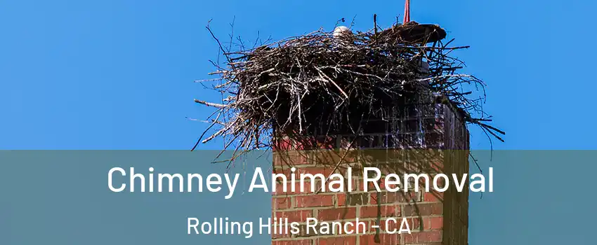 Chimney Animal Removal Rolling Hills Ranch - CA