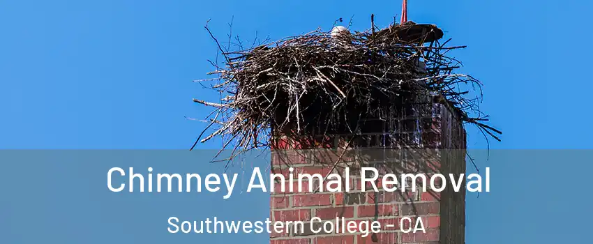 Chimney Animal Removal Southwestern College - CA