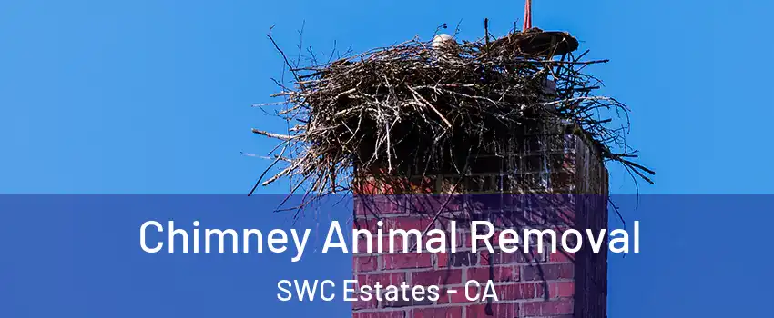 Chimney Animal Removal SWC Estates - CA