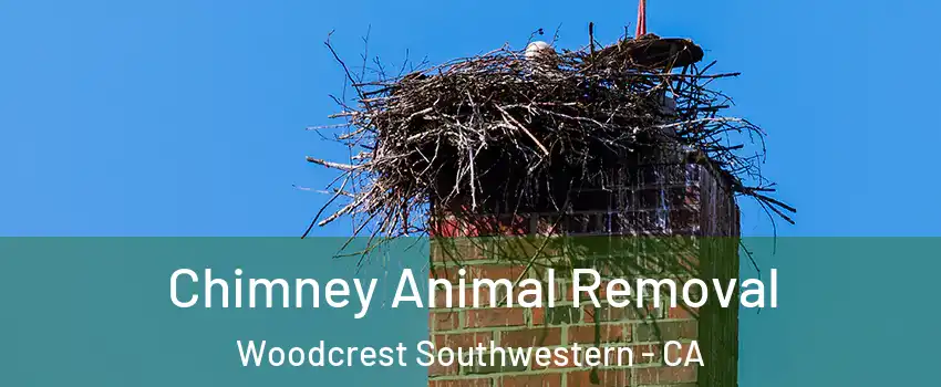 Chimney Animal Removal Woodcrest Southwestern - CA