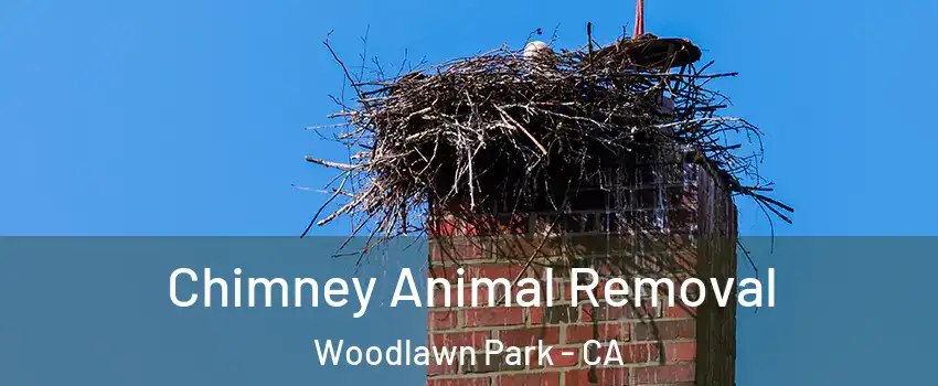 Chimney Animal Removal Woodlawn Park - CA