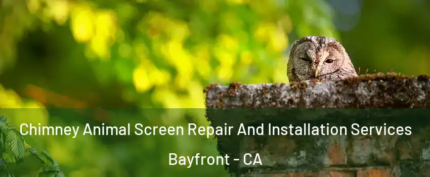 Chimney Animal Screen Repair And Installation Services Bayfront - CA
