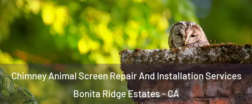 Chimney Animal Screen Repair And Installation Services Bonita Ridge Estates - CA