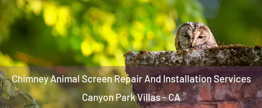 Chimney Animal Screen Repair And Installation Services Canyon Park Villas - CA