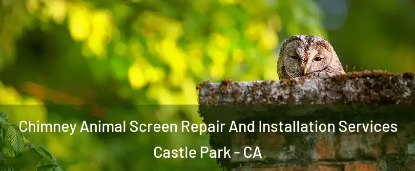 Chimney Animal Screen Repair And Installation Services Castle Park - CA