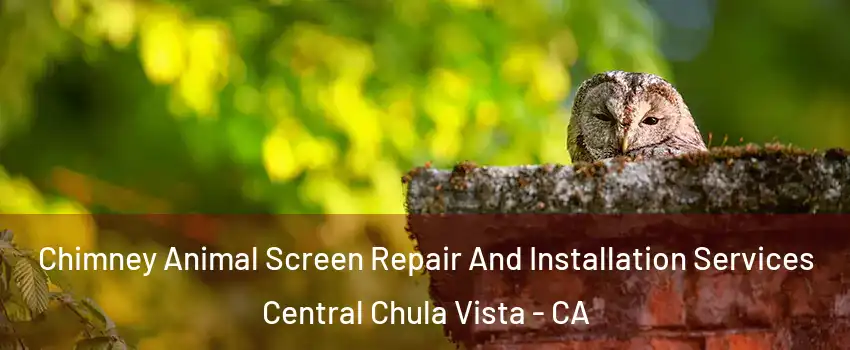 Chimney Animal Screen Repair And Installation Services Central Chula Vista - CA