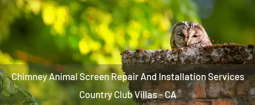 Chimney Animal Screen Repair And Installation Services Country Club Villas - CA