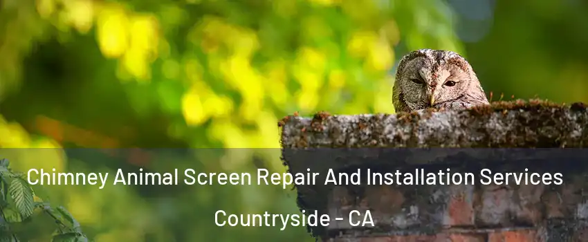 Chimney Animal Screen Repair And Installation Services Countryside - CA