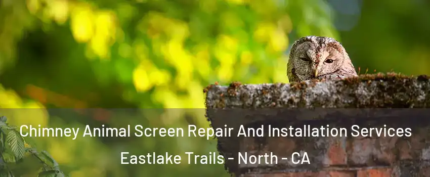 Chimney Animal Screen Repair And Installation Services Eastlake Trails - North - CA