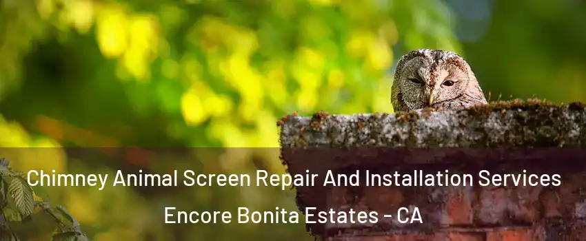 Chimney Animal Screen Repair And Installation Services Encore Bonita Estates - CA