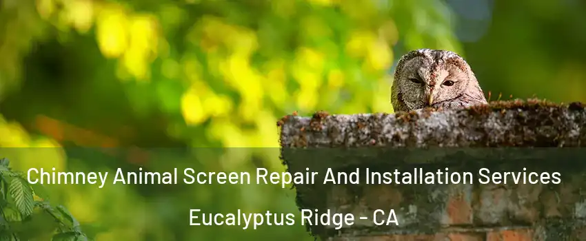 Chimney Animal Screen Repair And Installation Services Eucalyptus Ridge - CA