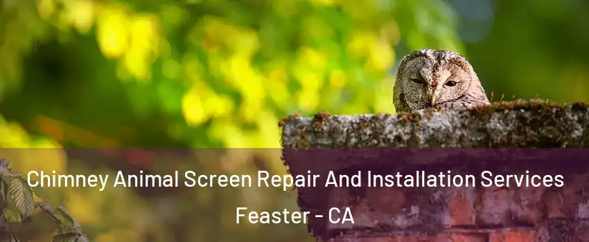 Chimney Animal Screen Repair And Installation Services Feaster - CA