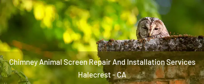 Chimney Animal Screen Repair And Installation Services Halecrest - CA