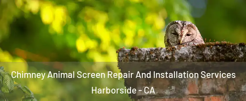 Chimney Animal Screen Repair And Installation Services Harborside - CA